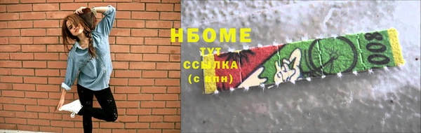 прущие грибы Верхний Тагил