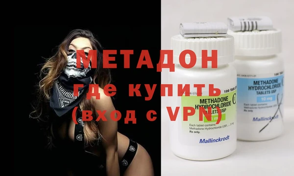 прущие грибы Верхний Тагил