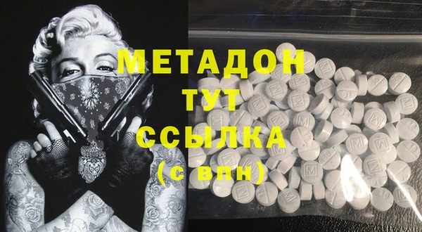 прущие грибы Верхний Тагил