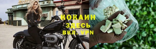 прущие грибы Верхний Тагил
