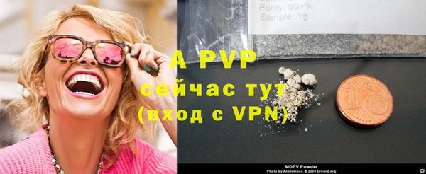 прущие грибы Верхний Тагил